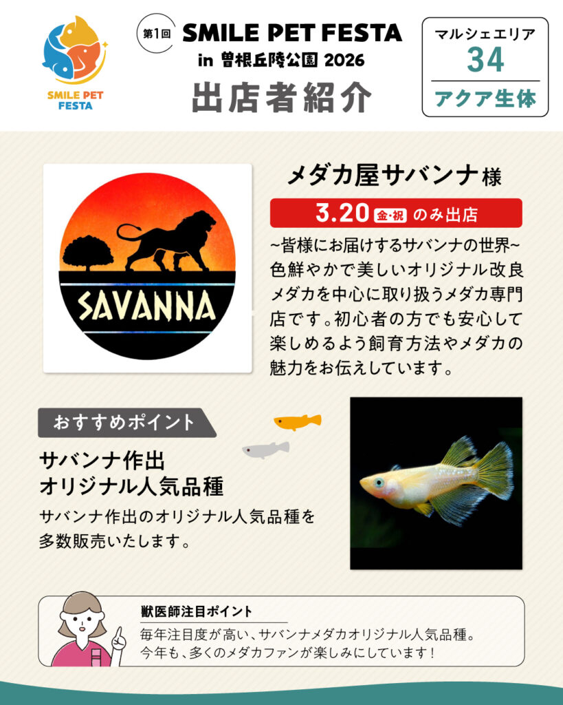 マルシェエリア　ブース番号34　メダカ屋サバンナ　3/20のみの出店