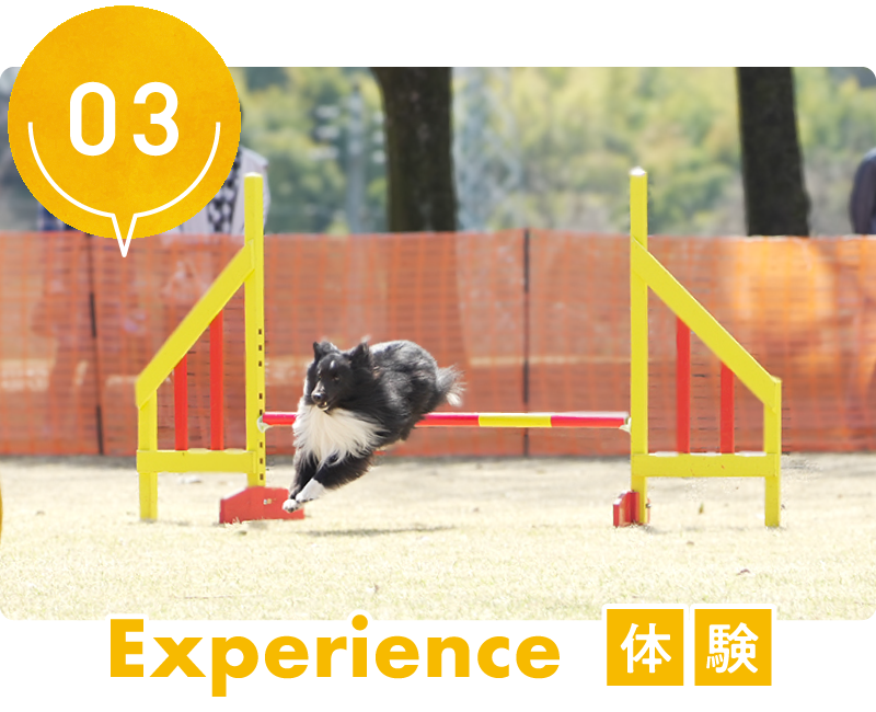 スマイルペットフェスタ4つのテーマの3つ目「Experience 体験」