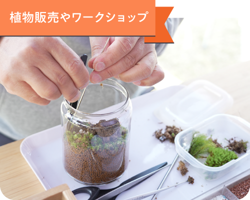 植物販売やワークショップ