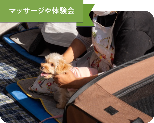 マッサージや体験会