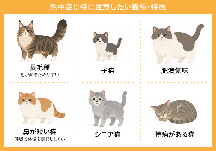 熱中症になりやすい猫種・特徴一覧