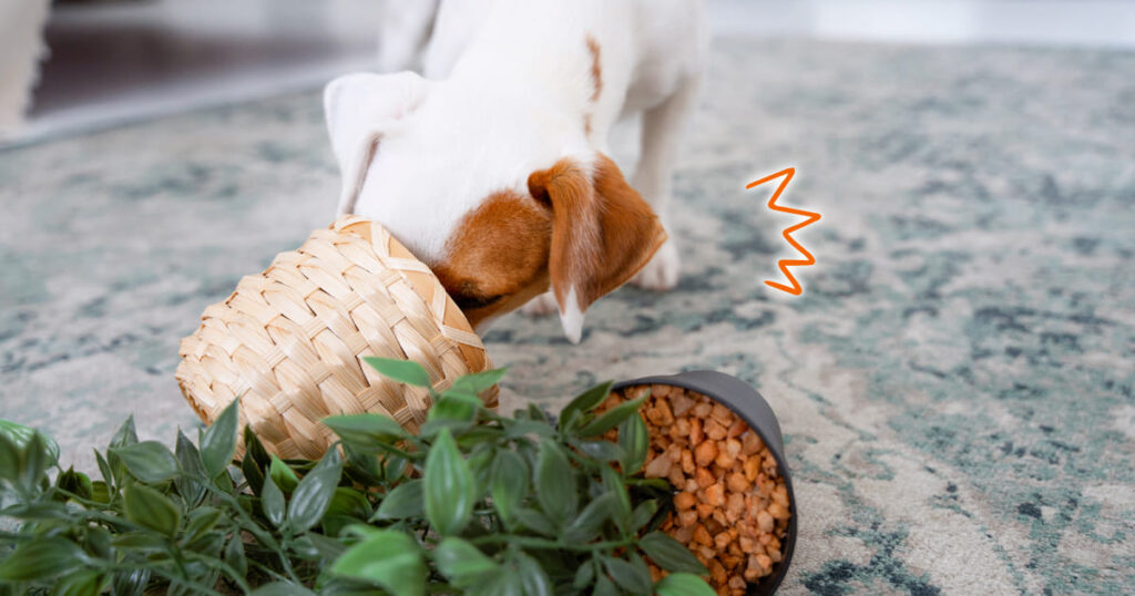 室内で観葉植物の鉢を倒してしまう犬