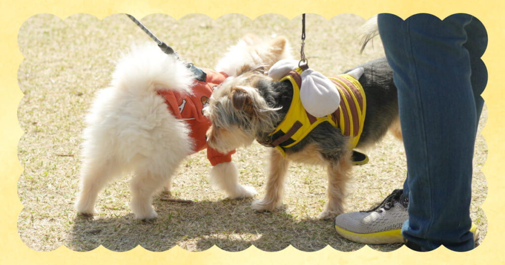 ペットイベントで犬同士が挨拶する様子
