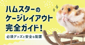 【初心者向け】ハムスターのケージレイアウト完全ガイド 事故を防ぐ！安全な配置と必須グッズ