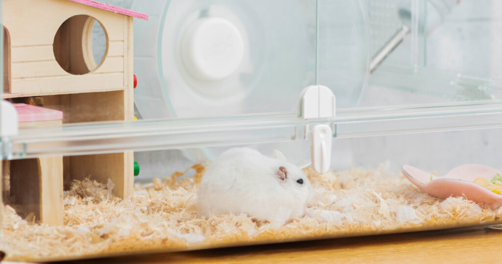 ハムスター飼育グッズ