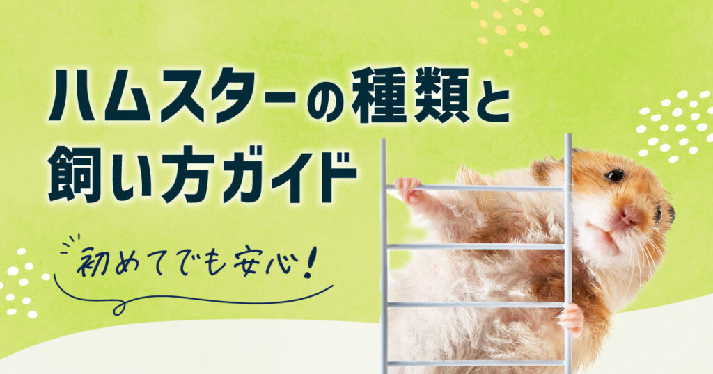 初めてでも安心！ハムスターの種類と飼い方ガイド