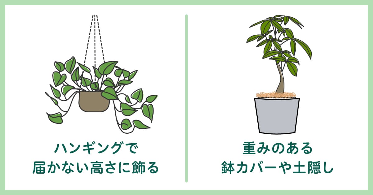 犬や猫の手が届かない場所に観葉植物を飾る配置アイデア図