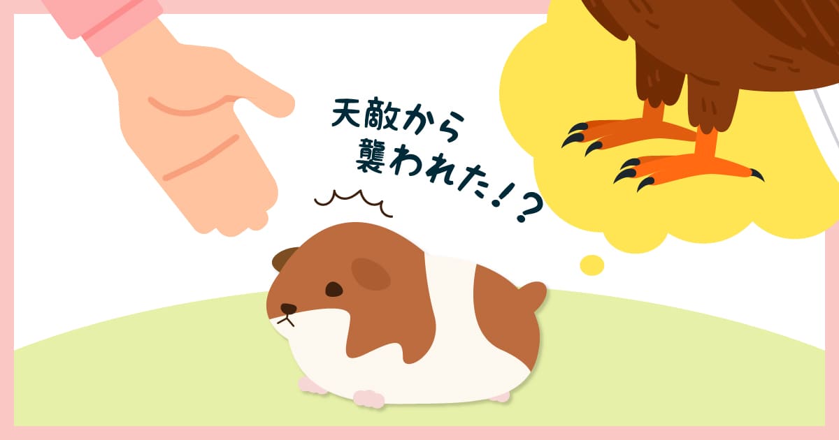上から伸びてくる手に驚き、天敵に襲われたと勘違いして逃げようとする臆病なモルモット