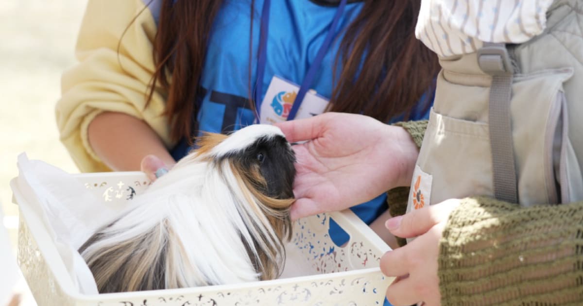 スマイルペットフェスタのふれあい広場で学生スタッフのサポートのもと動物とやさしく触れ合う様子