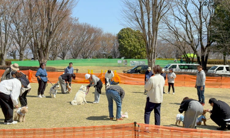 スマイルペットフェスタ｜アクティビティエリア 愛犬を叱らずに”できた”を増やすしつけ体験