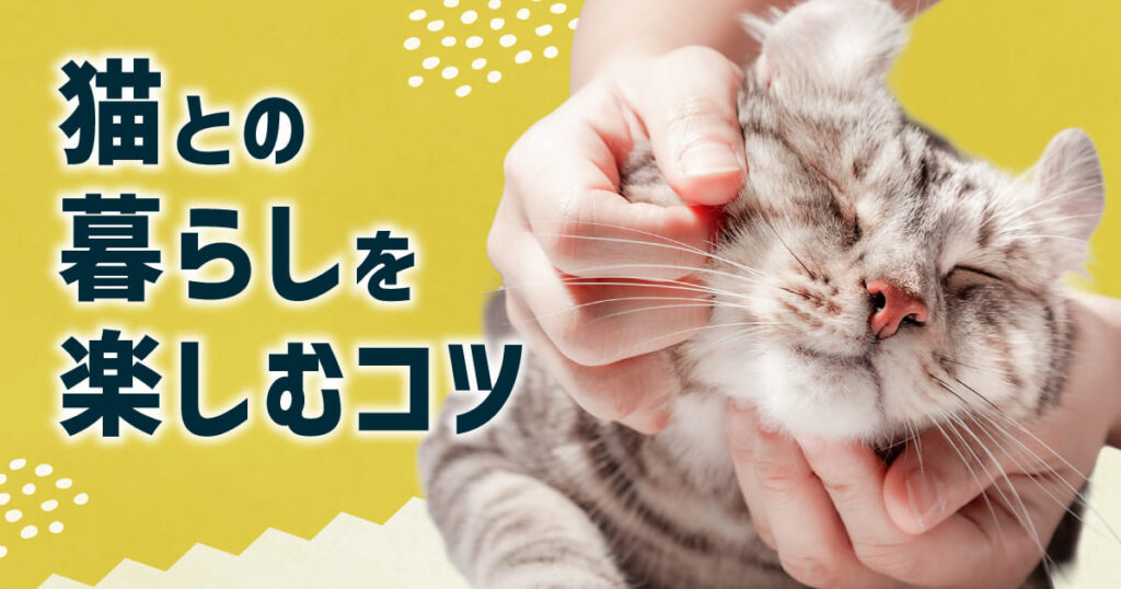猫との暮らしを楽しむコツ｜猫も人も心地よく過ごすために