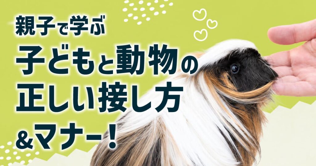 親子で学ぶ！子どもと動物の正しい接し方