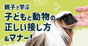 親子で学ぶ！子どもと動物の正しい接し方