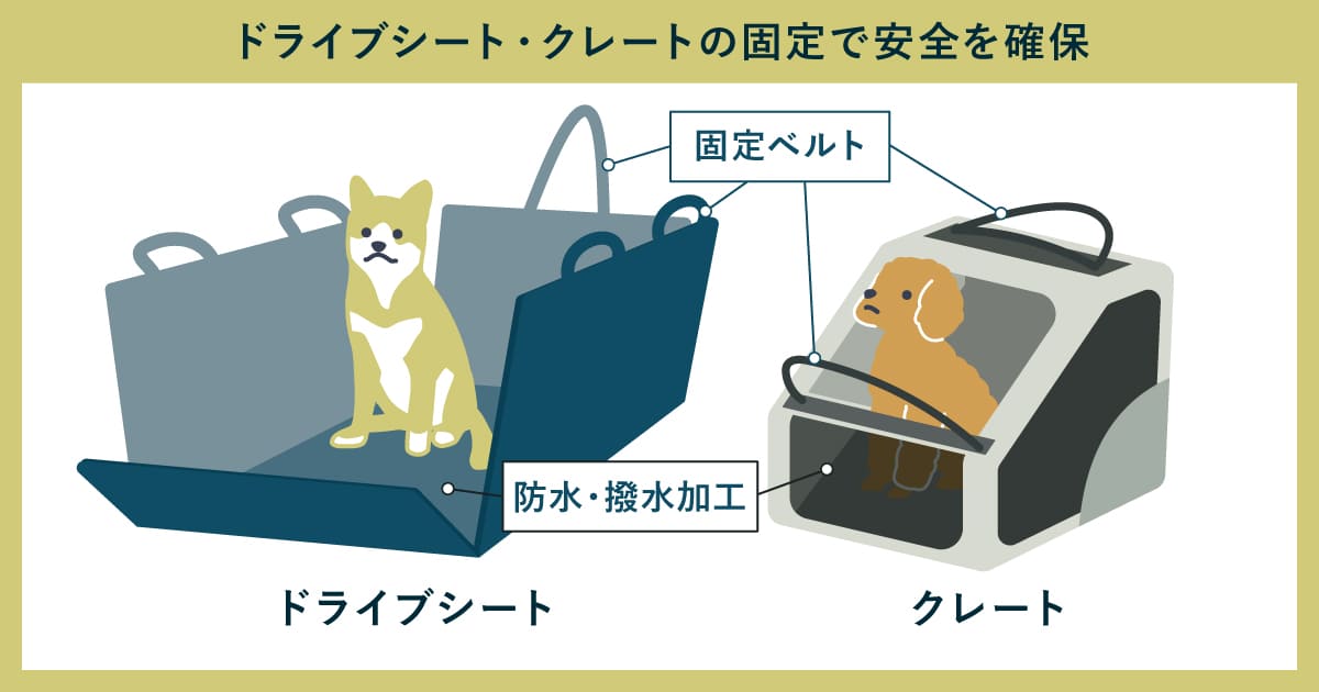 ドライブシート・クレートの固定で安全を確保