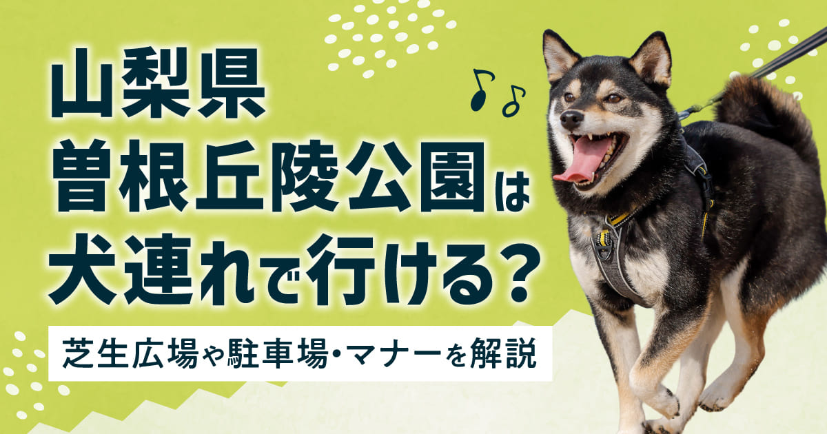 山梨県曽根丘陵公園は犬連れで行ける？芝生広場や駐車場・マナーを解説