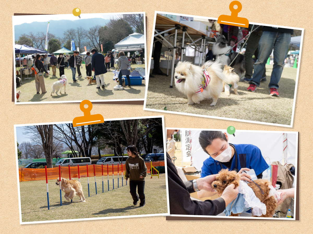 スマイルペットフェスタの会場で賑わう愛犬と飼い主たちの様子