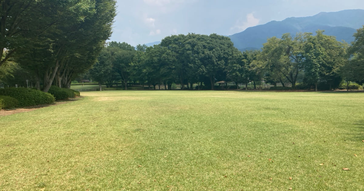 山梨県曽根丘陵公園の広々とした青々しい芝生広場の風景