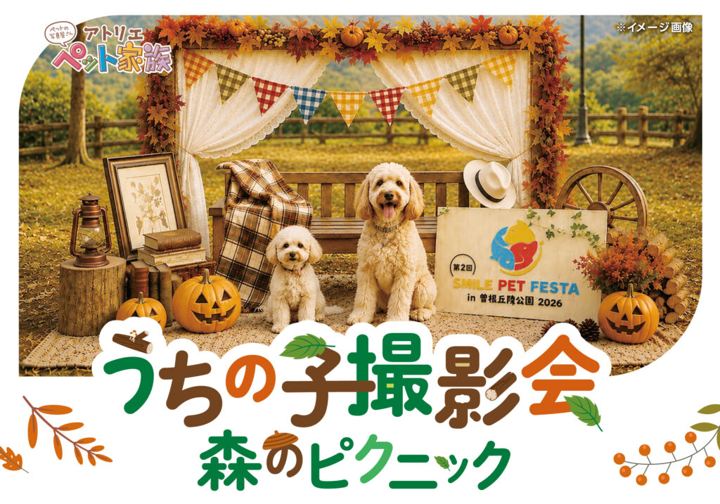 秋を感じる「森のピクニック」ブース